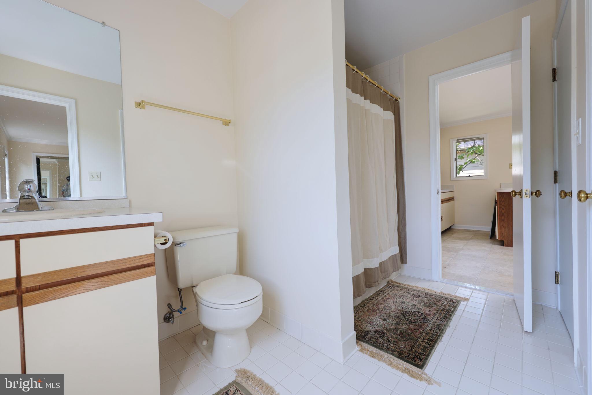 1410 Cedar Avenue McLean, VA 22101 - Photo 53 of 61 a bathroom with a toilet a sink and a mirror