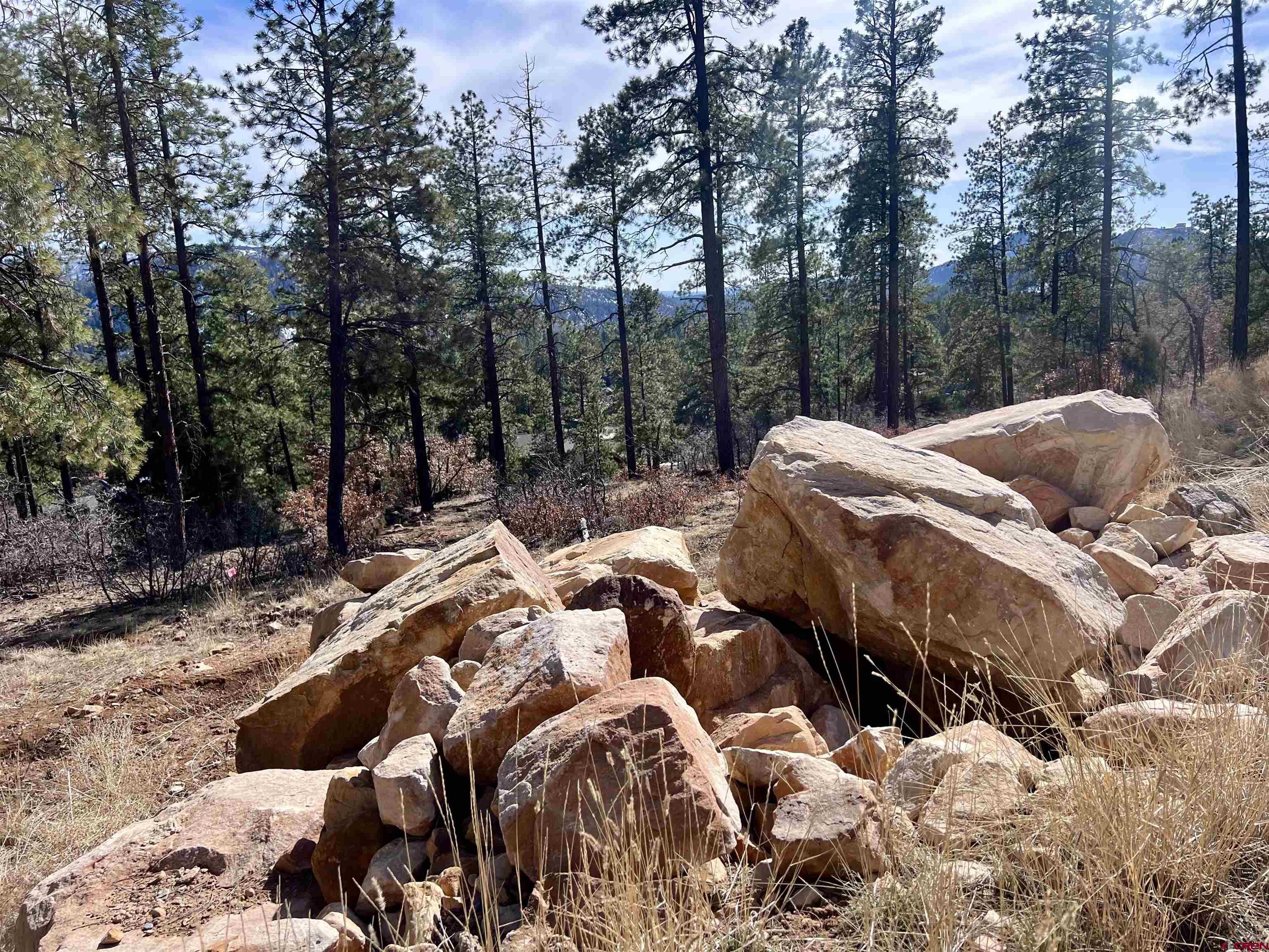 767 Red Canyon Trail Durango, CO 81301 - Photo 5 of 21 a view of outdoor space yard and patio