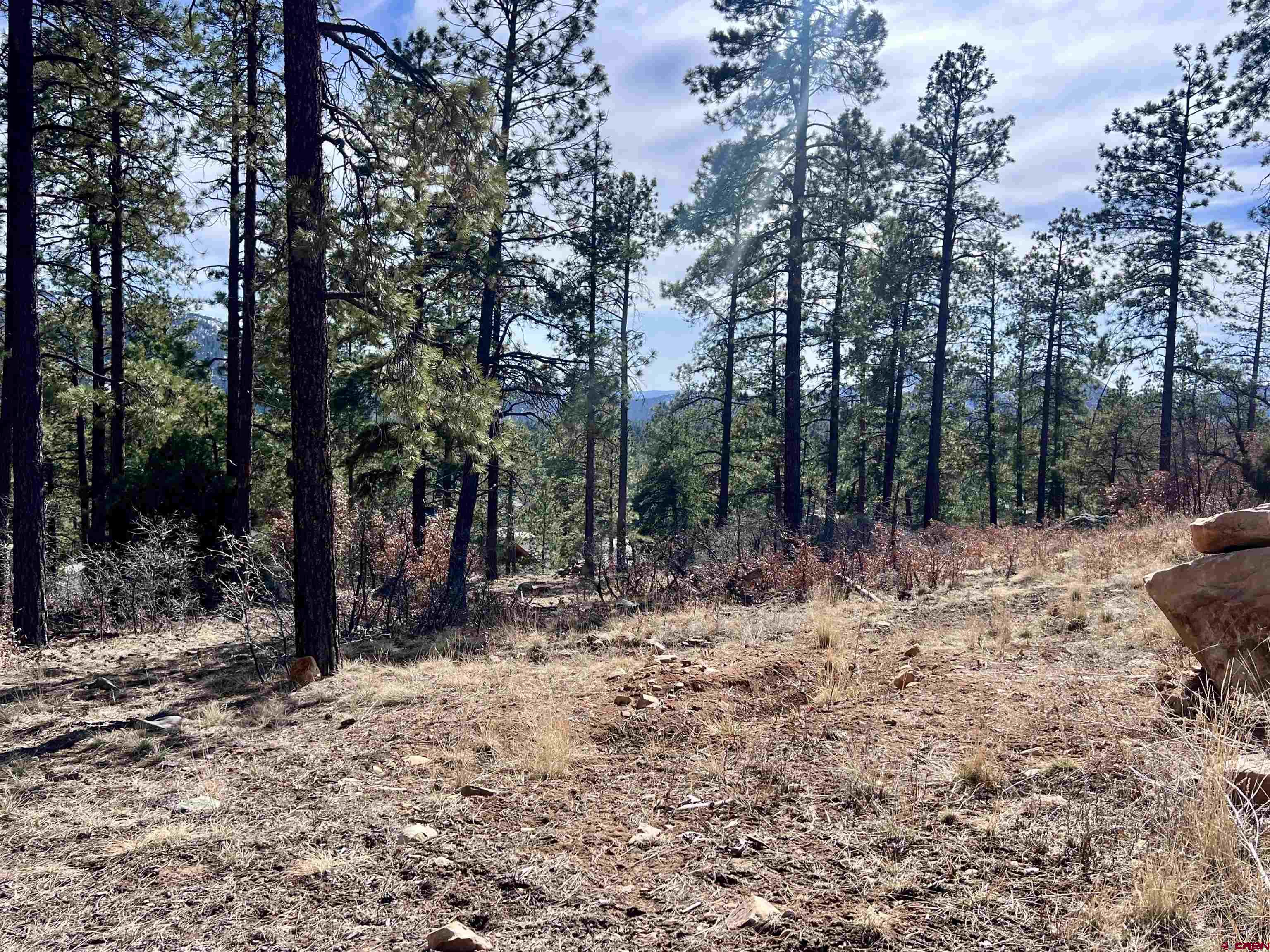 767 Red Canyon Trail Durango, CO 81301 - Photo 6 of 21 a view of outdoor space with trees