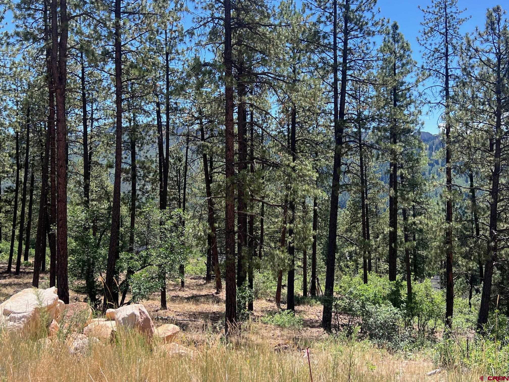 767 Red Canyon Trail Durango, CO 81301 - Photo 7 of 21 a view of outdoor space with trees