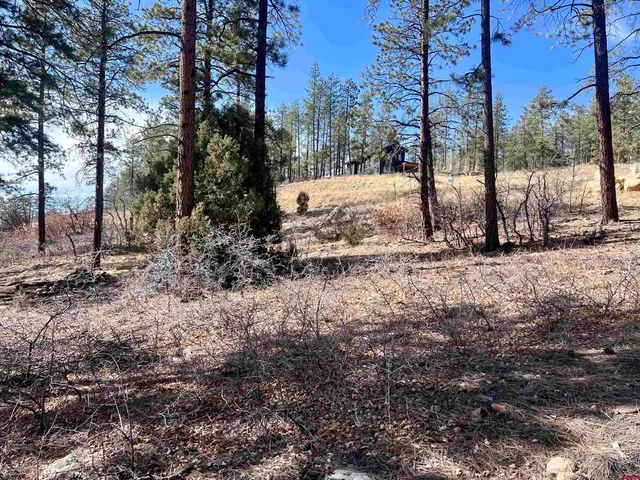 a view of outdoor space with trees