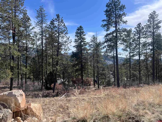 a black and white photo of a big