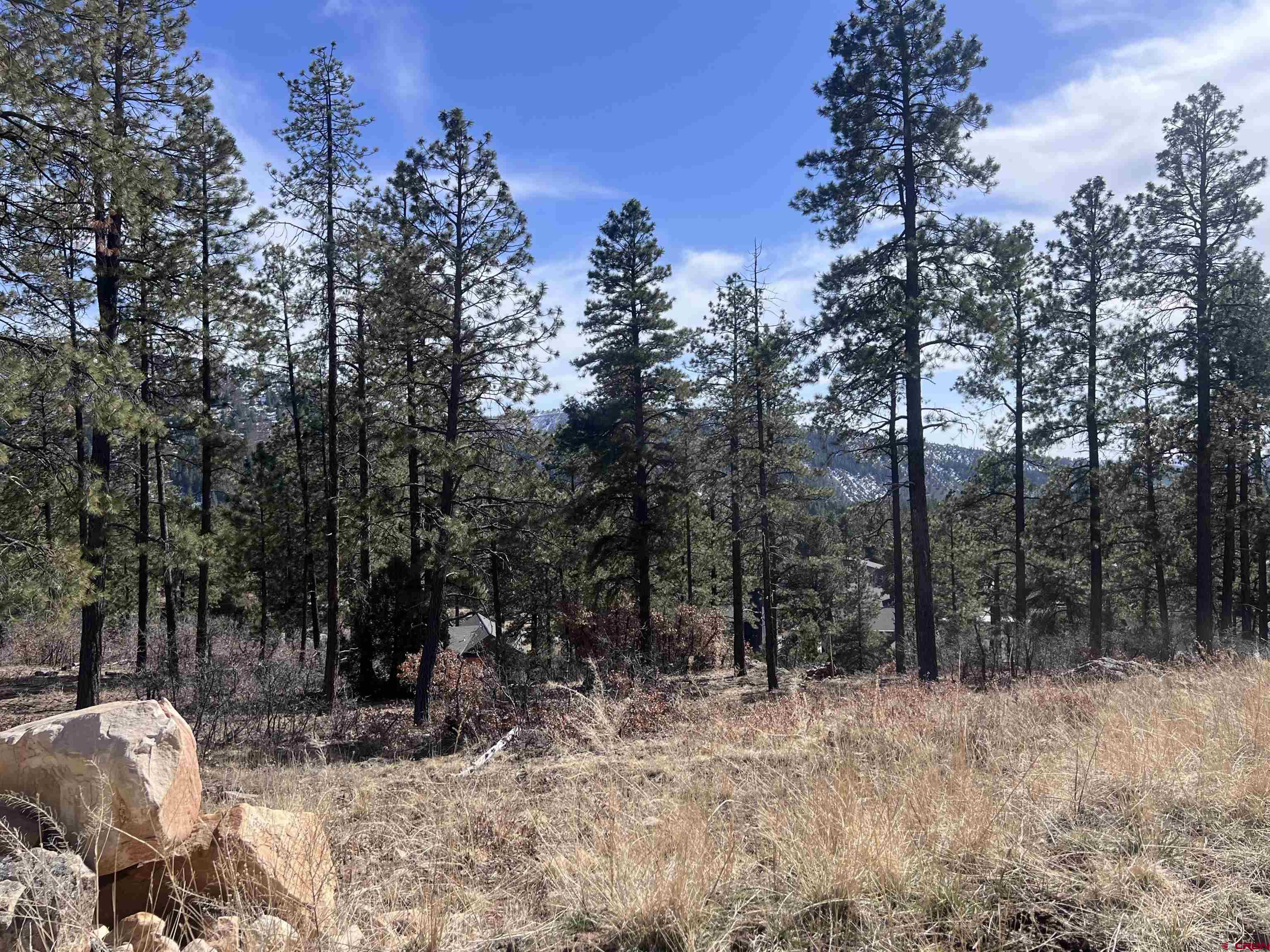 767 Red Canyon Trail Durango, CO 81301 - Photo 9 of 21 a view of outdoor space with trees