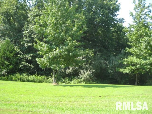 - Logan Run Road Murphysboro, IL 62966 - Photo 1 of 2