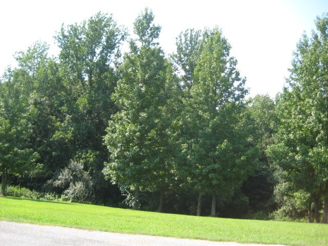 - Logan Run Road Murphysboro, IL 62966 - Photo 2 of 2