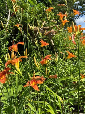 $579,000 | 5293-5231 Highway O Rolla Mo 65401, Rolla, MO 65401