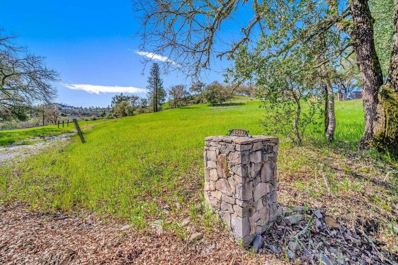 2910 Riebli Road Santa Rosa, CA 95404 - Photo 1 of 1 a view of a table and chairs in the garden