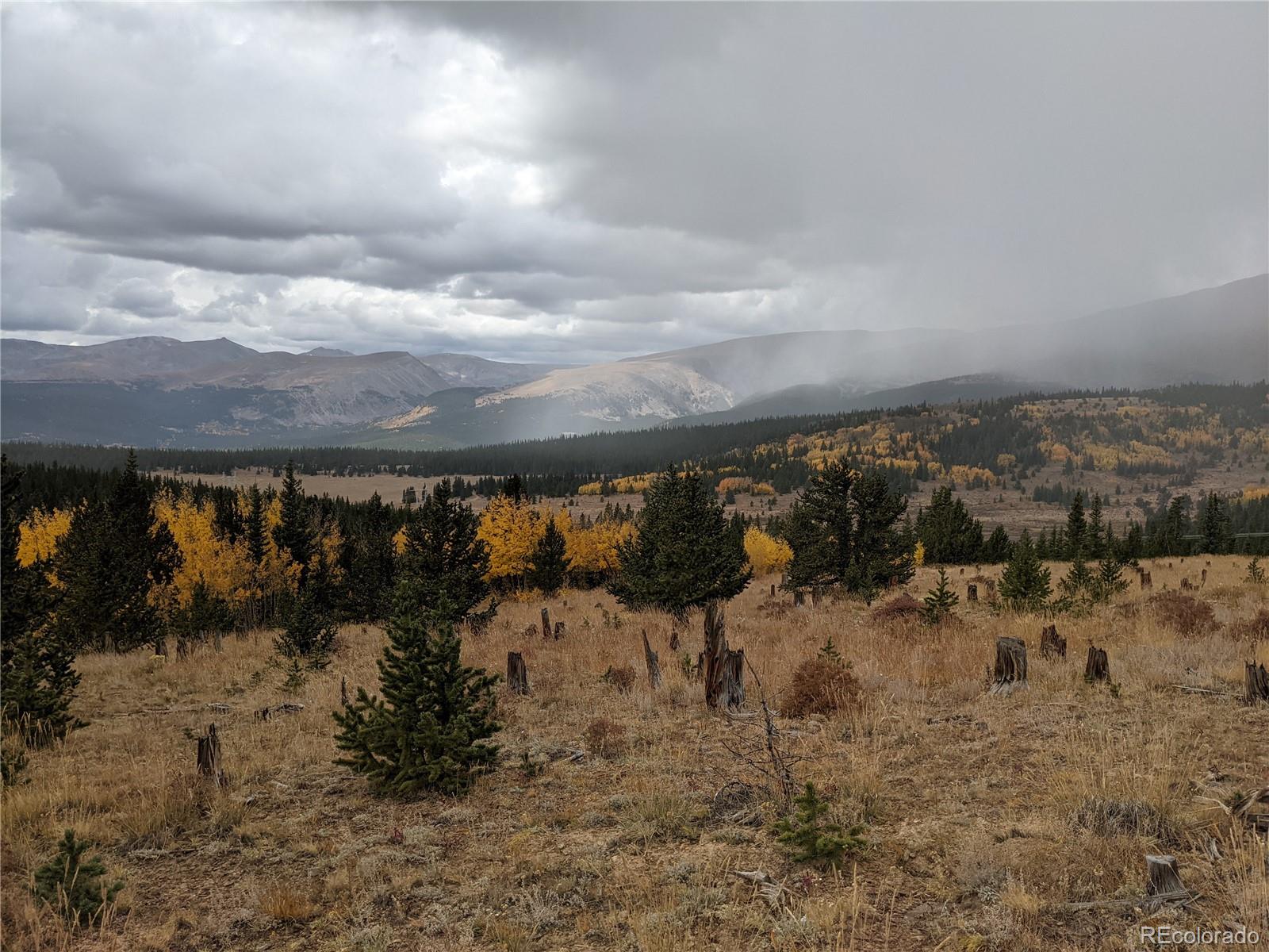0 Snow Cap Peaks Road Fairplay, CO 80440 - Photo 17 of 20