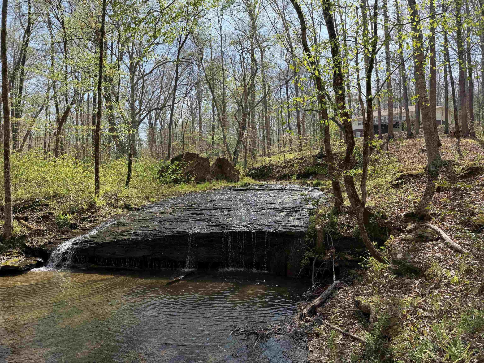 2411 Keazey Hollow Road Waynesboro, TN 38485 - Photo 30 of 38