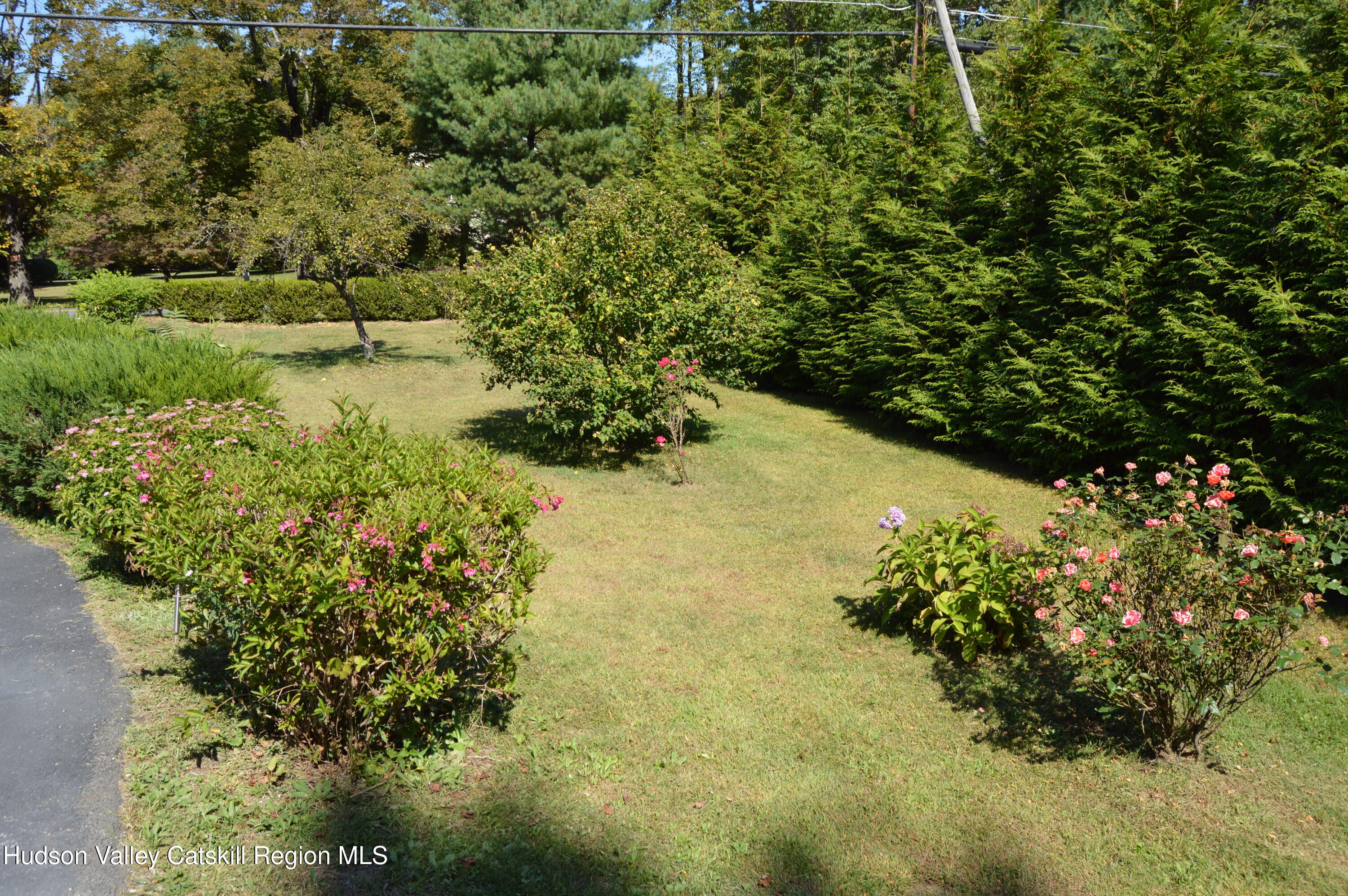372 Union Center Road Ulster Park, NY 12487 - Photo 23 of 30 DSC_0296
