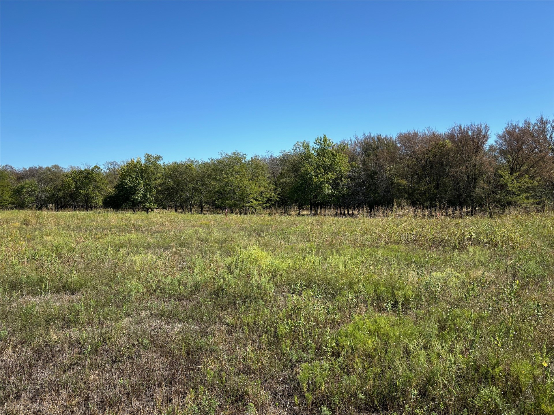 11184 Enos Road Kingston, OK 73439 - Photo 1 of 1 Expansive open field with diverse natural grasses and a tree line providing a natural border