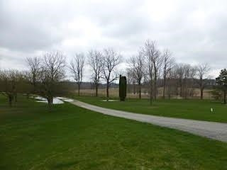 11777 Bemis Road Manchester, MI 48158 - Photo 5 of 10 Photo 5