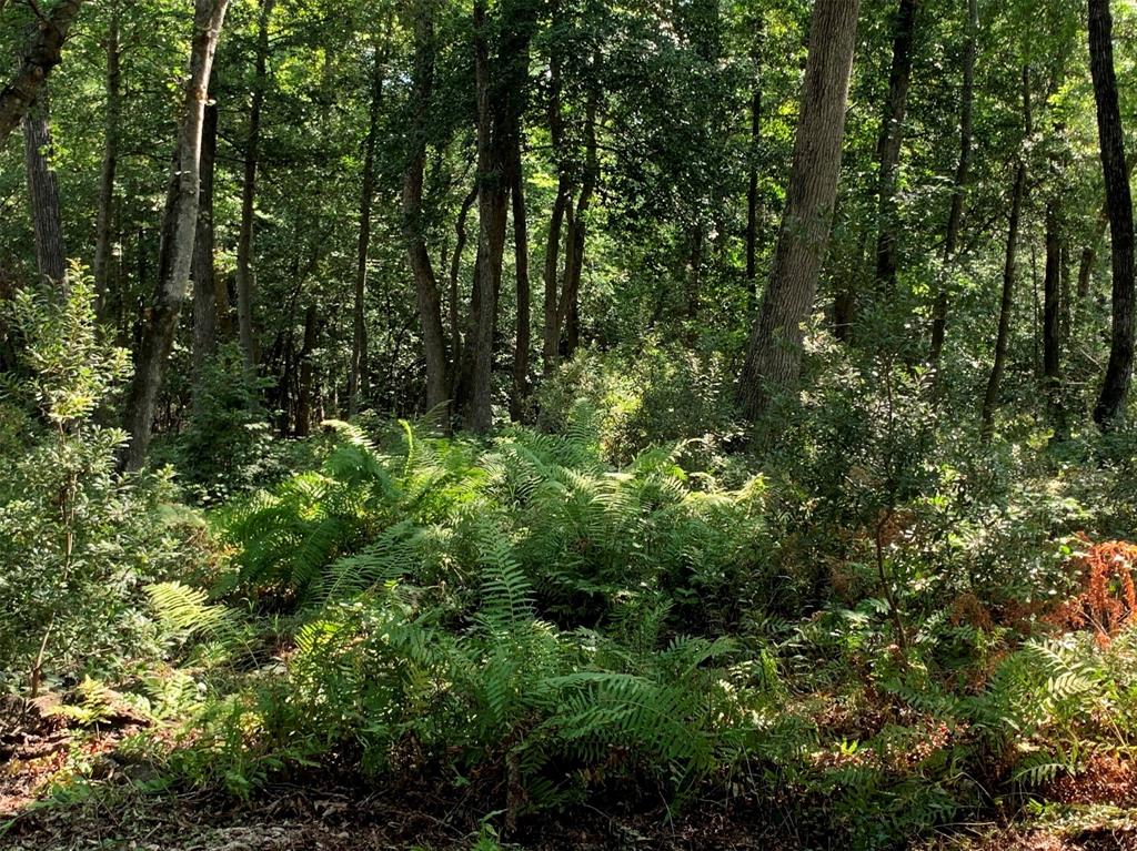 3196 Shadow Pine Drive Larue, TX 75770 - Photo 13 of 15