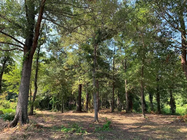 $140,000 | 3196 Shadow Pine Drive, Larue, TX 75770