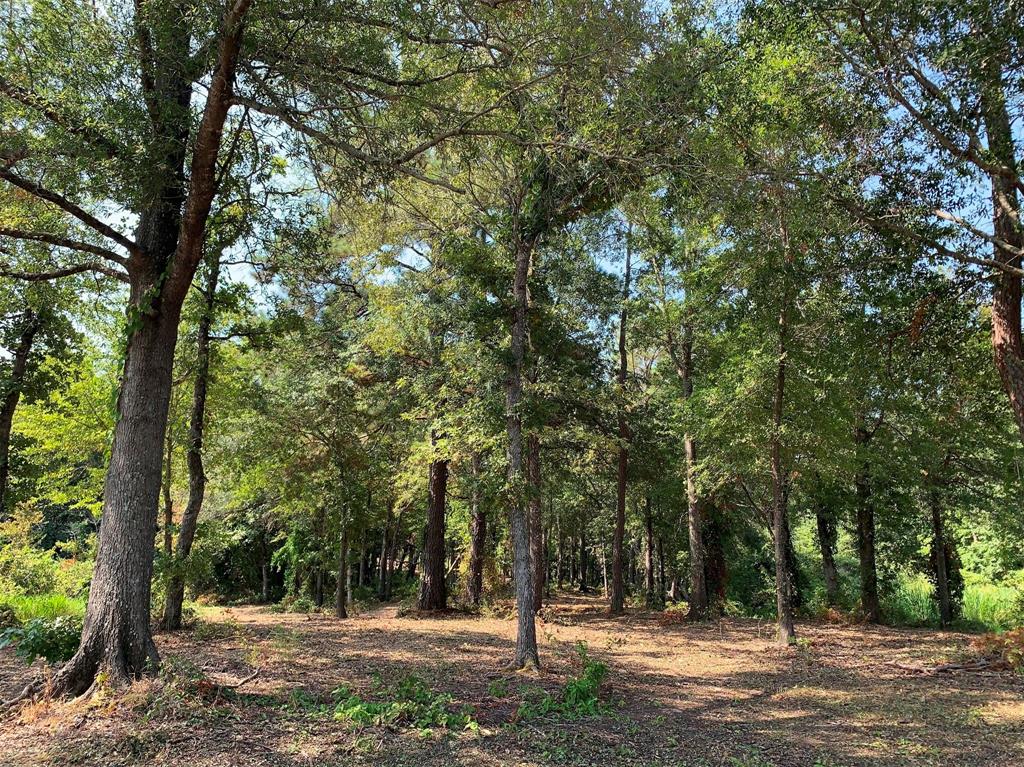 3196 Shadow Pine Drive Larue, TX 75770 - Photo 6 of 15