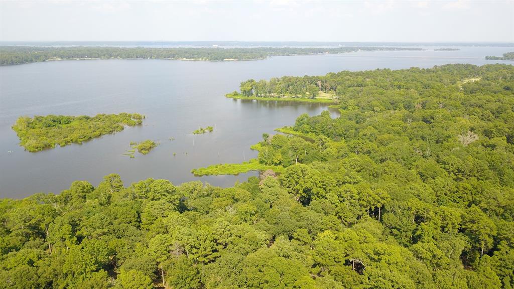 3196 Shadow Pine Drive Larue, TX 75770 - Photo 9 of 15