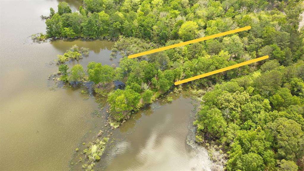 3196 Shadow Pine Drive Larue, TX 75770 - Photo 10 of 15