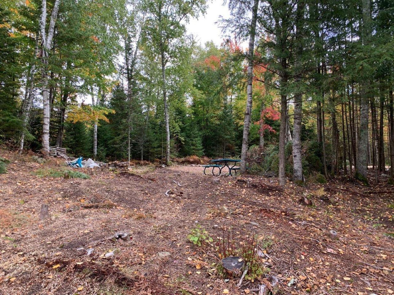 On Little Pike Road Mercer, WI 54547 - Photo 20 of 43 Gallery Image 20