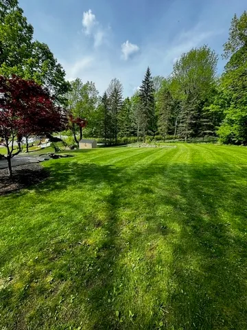 a view of a green field