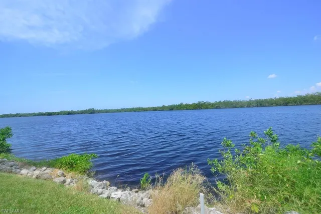 a view of a lake from a yard