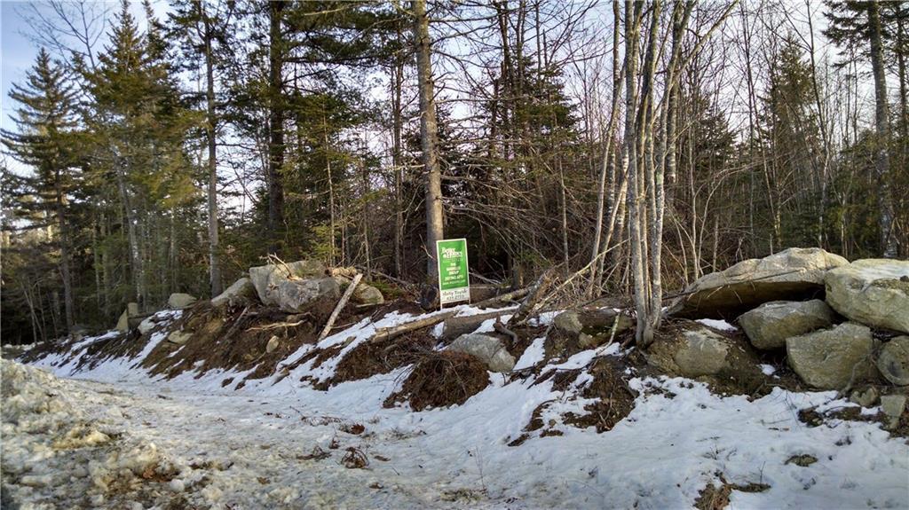 Lot 4 White Orchard Road Frankfort, ME 04438 - Photo 1 of 9 Photo