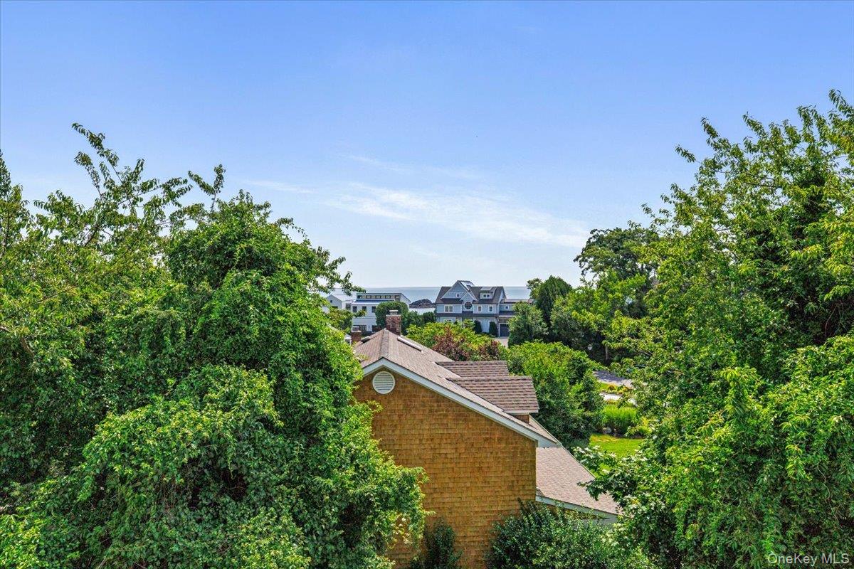 731 Forest Avenue Rye, NY 10580 - Photo 8 of 11