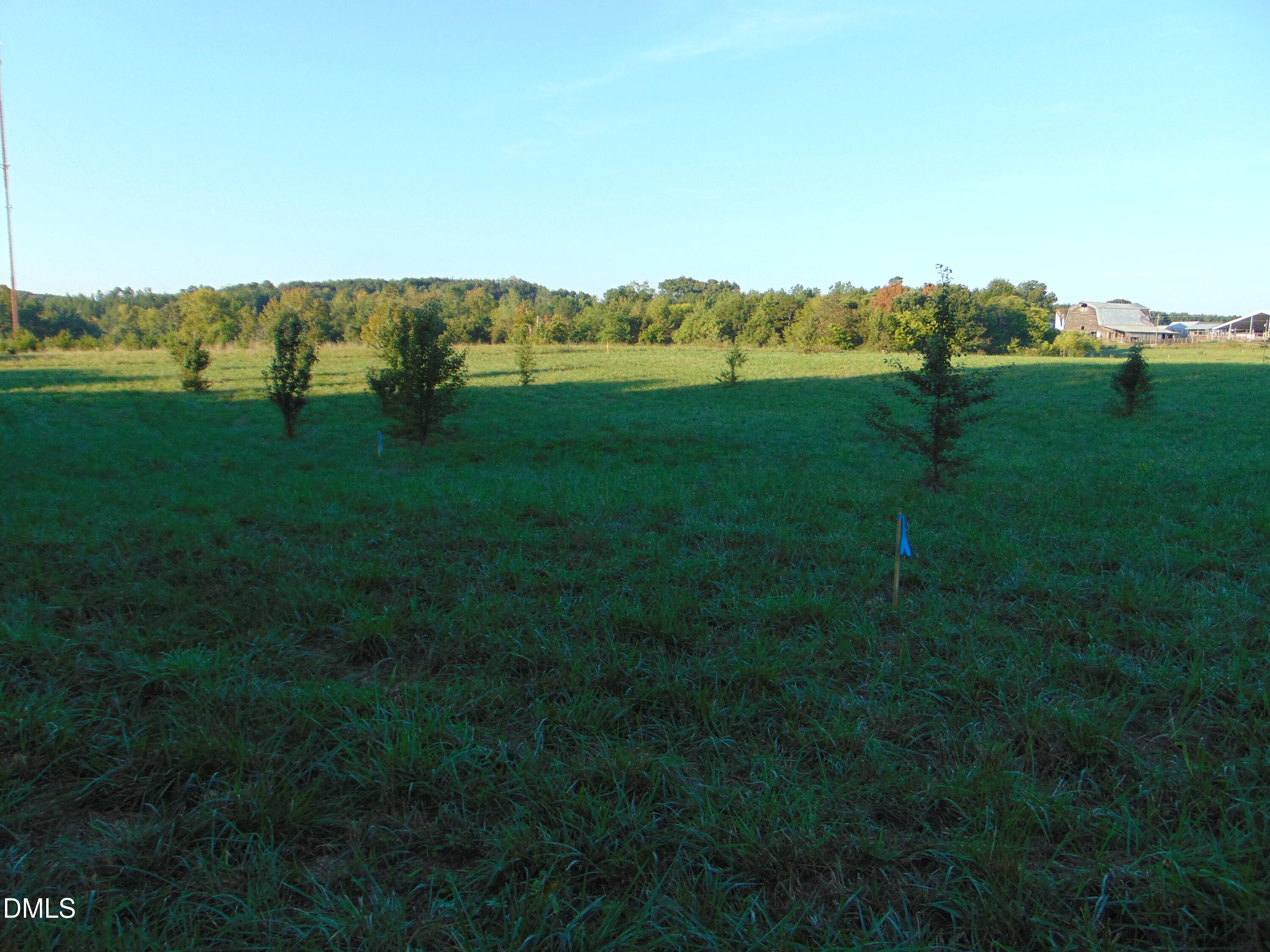 0 Files Road Blanch, NC 27212 - Photo 8 of 11 DSC01660