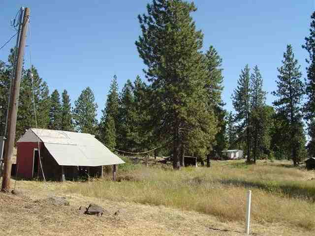 15508 South Carstens Road Edwall, WA 99008 - Photo 8 of 9