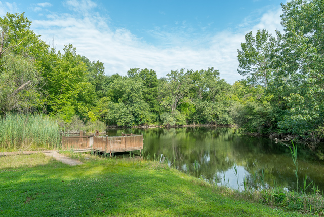 3030 North Jugtown Road Morris, IL 60450 - Photo 24 of 35 a backyard of a house with lots of green space and lake view