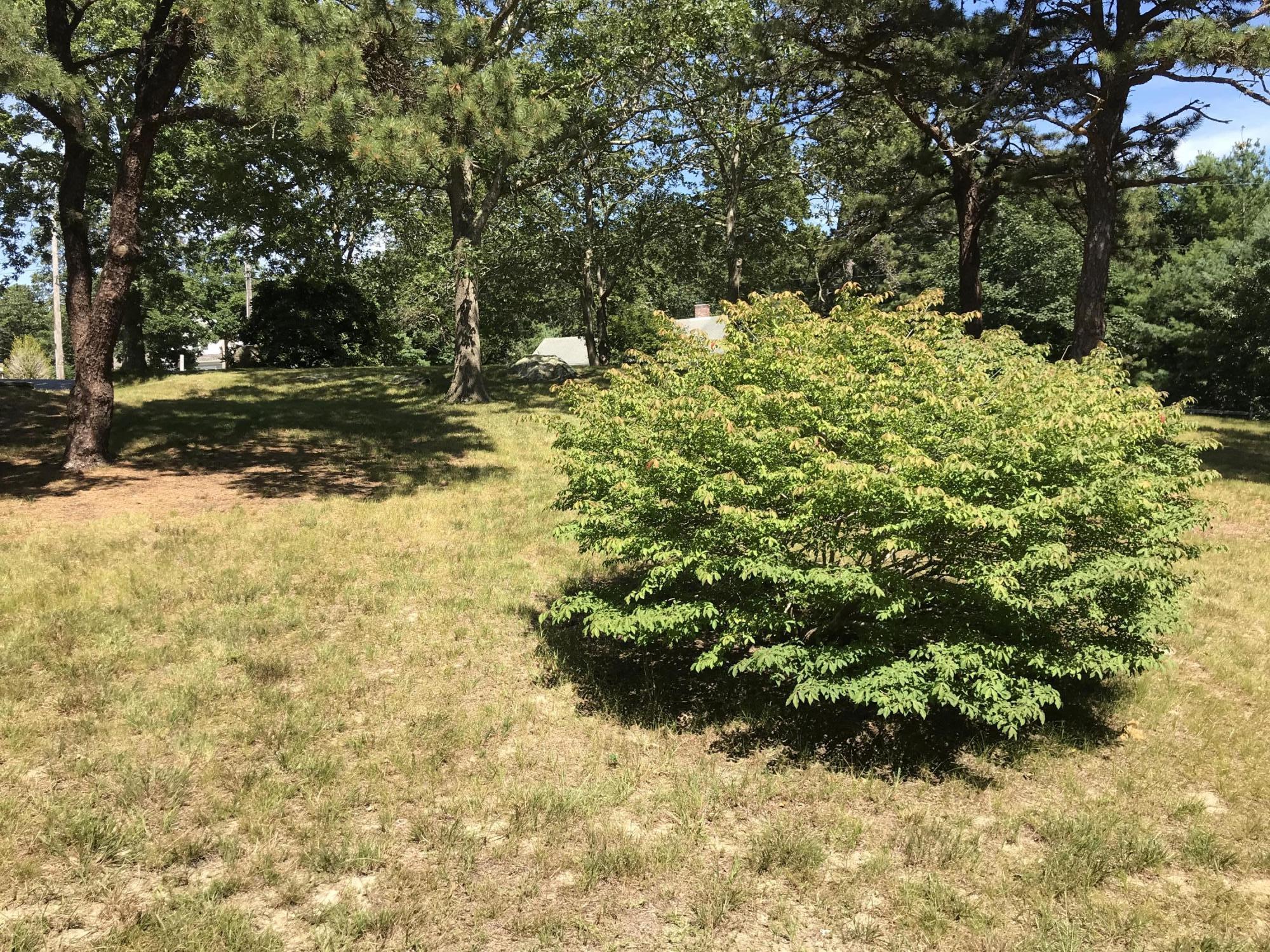 73 Pine Ridge Road Brewster, MA 02631 - Photo 34 of 42 IMG_3423