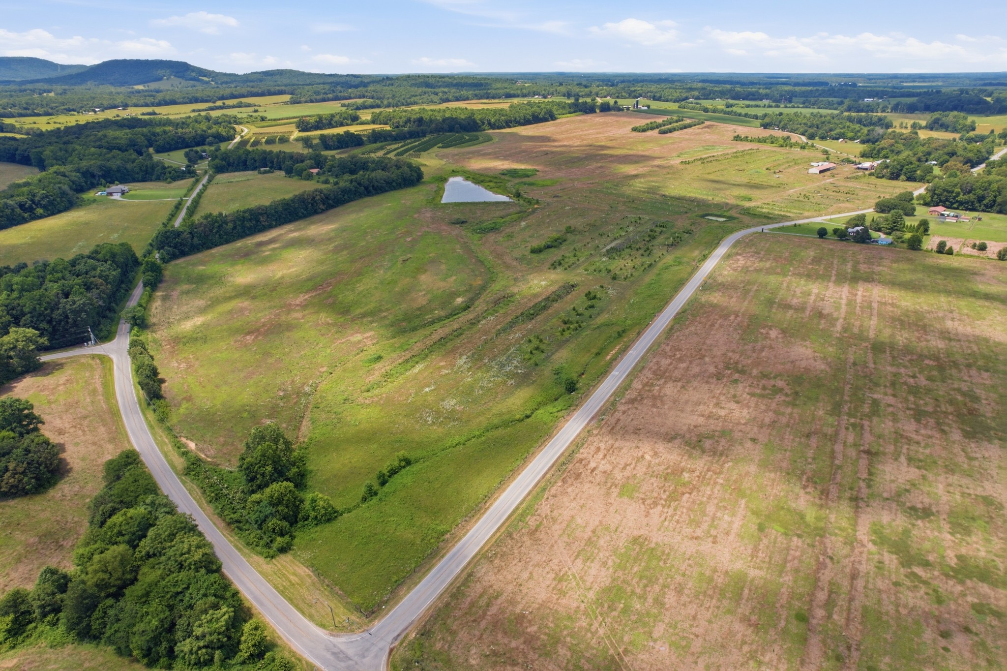 8363 West Green Hill Road Smithville, TN 37166 - Photo 2 of 13