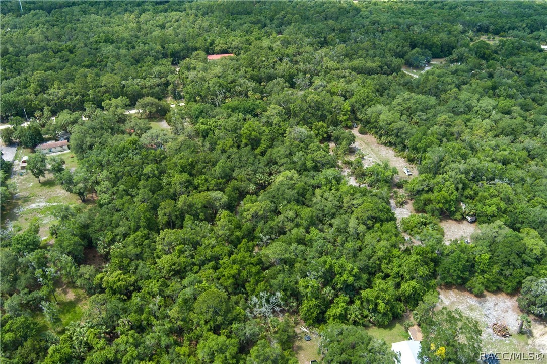 15085 West Rooster Crows Road Inglis, FL 34449 - Photo 12 of 16