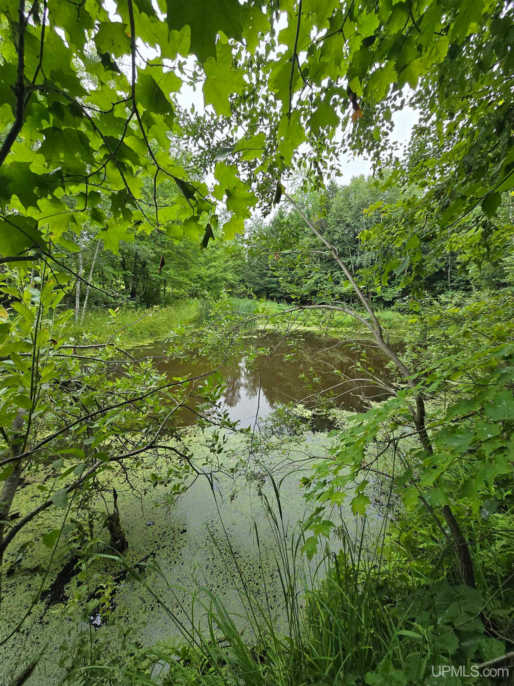 Tbd Moyer Road Baraga, MI 49908 - Photo 26 of 51 Gallery Image 26