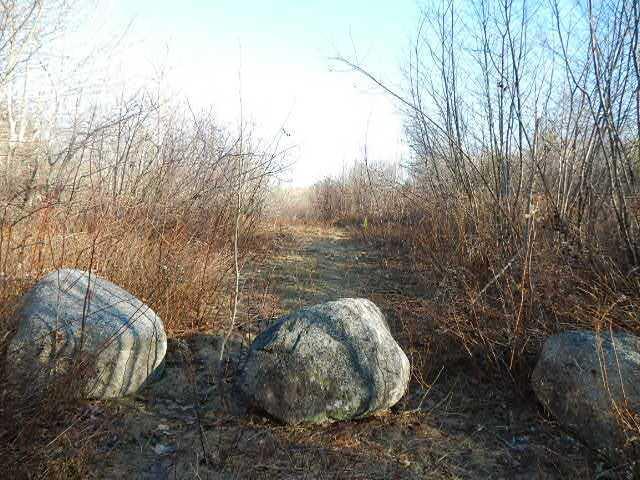 Lot 1 Route 182 Steuben, ME 04680 - Photo 2 of 8 Land.