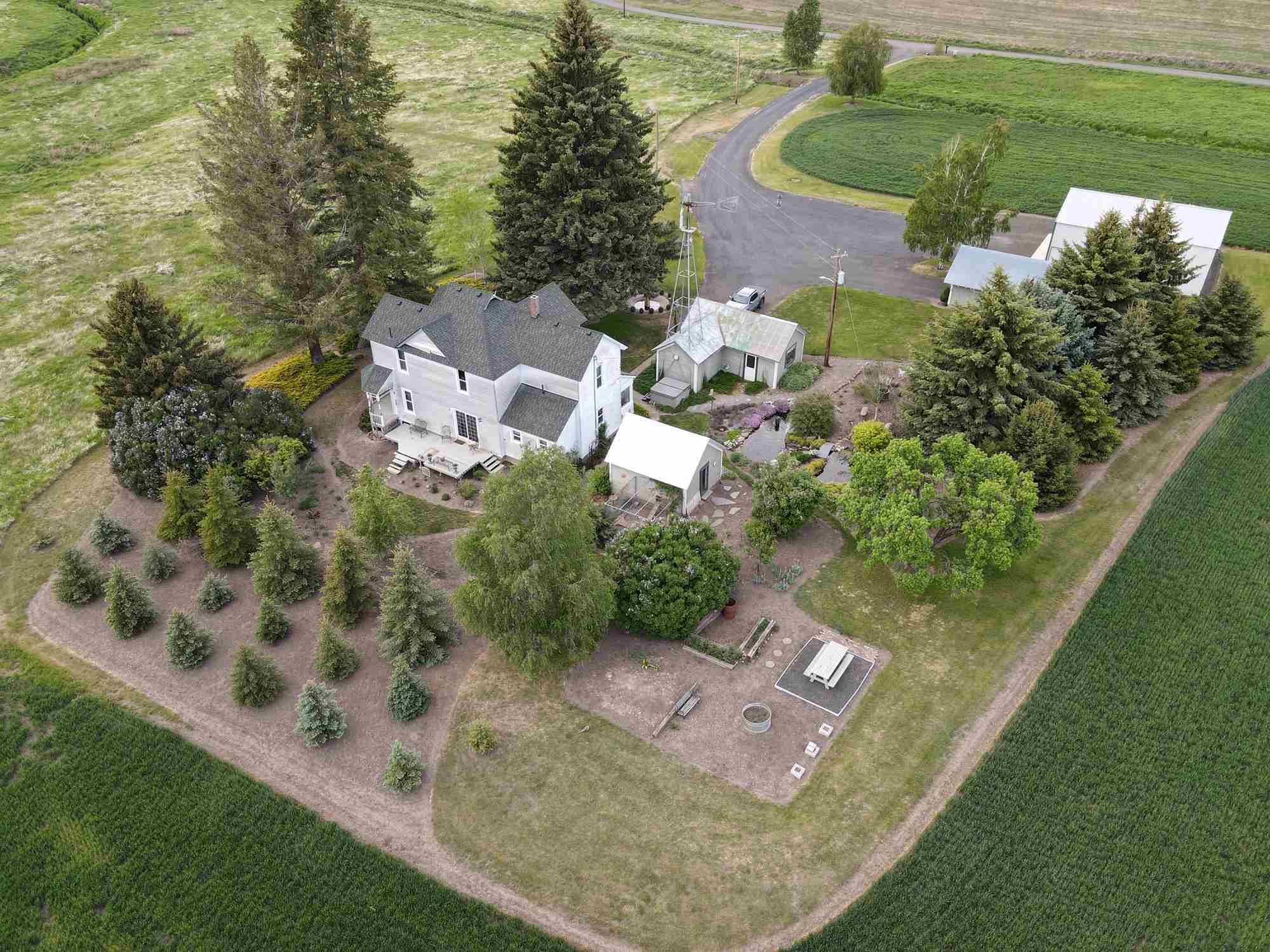 391 Lone Pine Road Oakesdale, WA 99158 - Photo 7 of 27