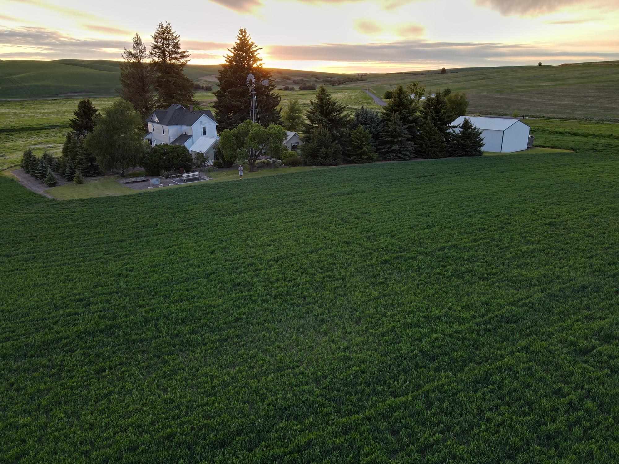 391 Lone Pine Road Oakesdale, WA 99158 - Photo 8 of 27