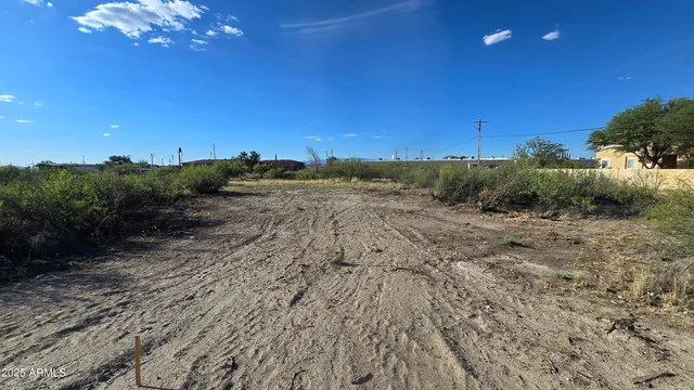 a view of a big yard with lots of green space