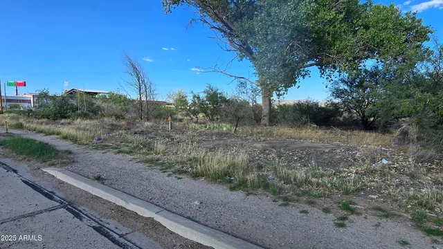 a view of a yard with a tree