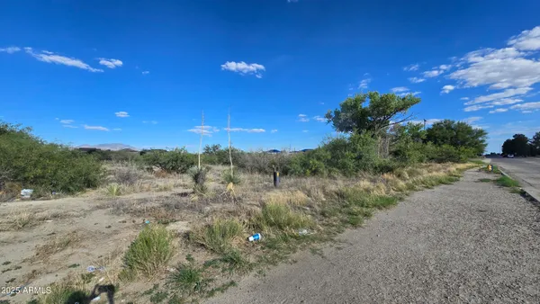 a view of a dry yard with lots of trees