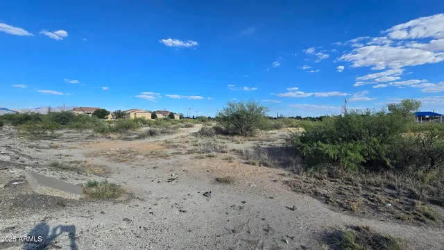 a view of a dry yard with trees in the background