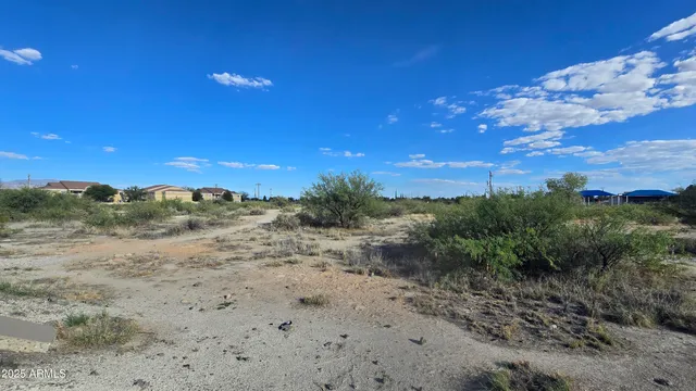 a view of a dry yard with mountains in the background