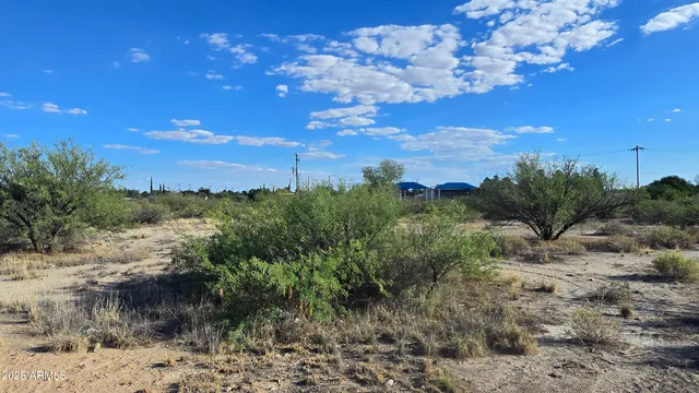 a view of a city with lots of trees