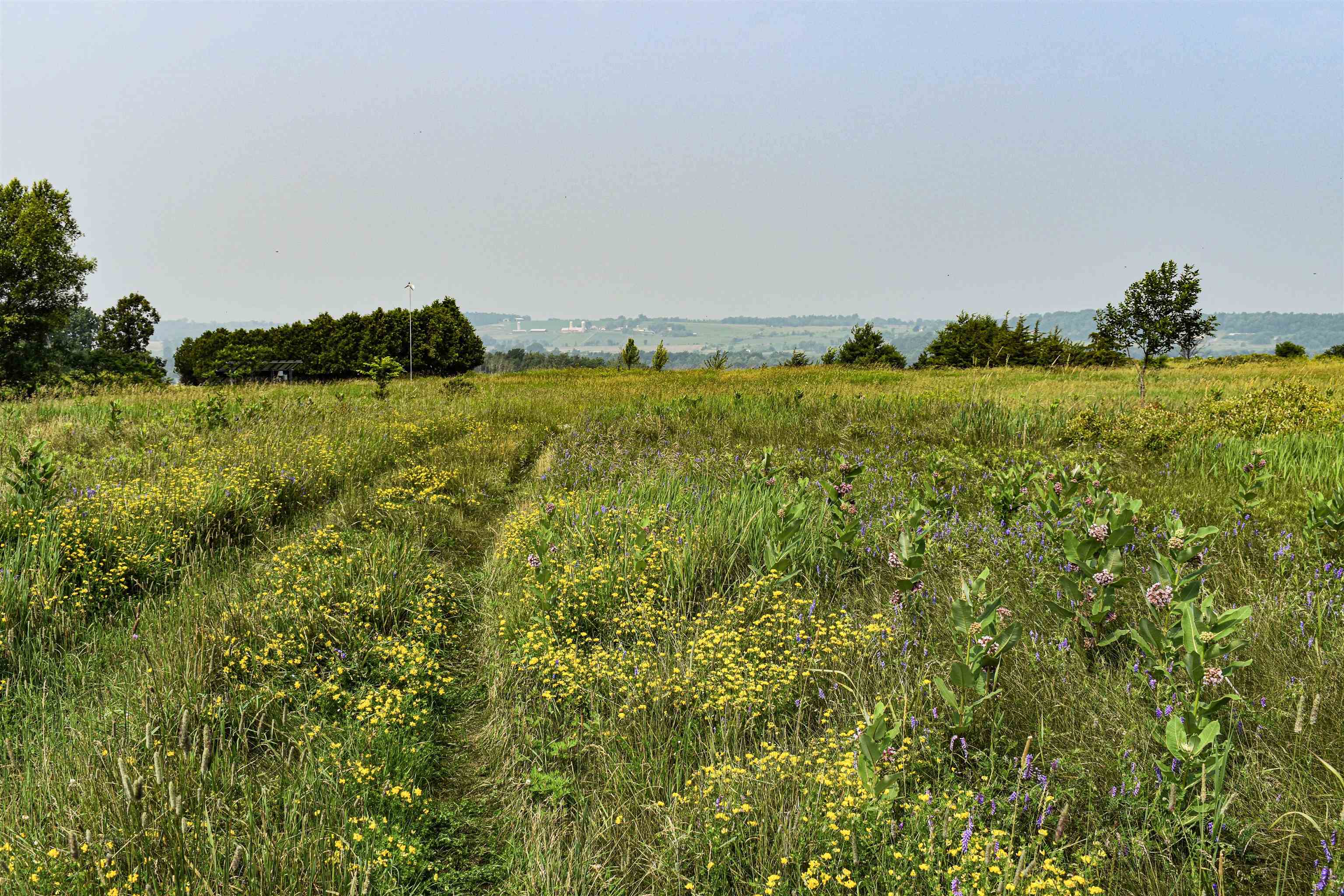 Tbd Maple Street Vergennes, VT 05491 - Photo 8 of 13