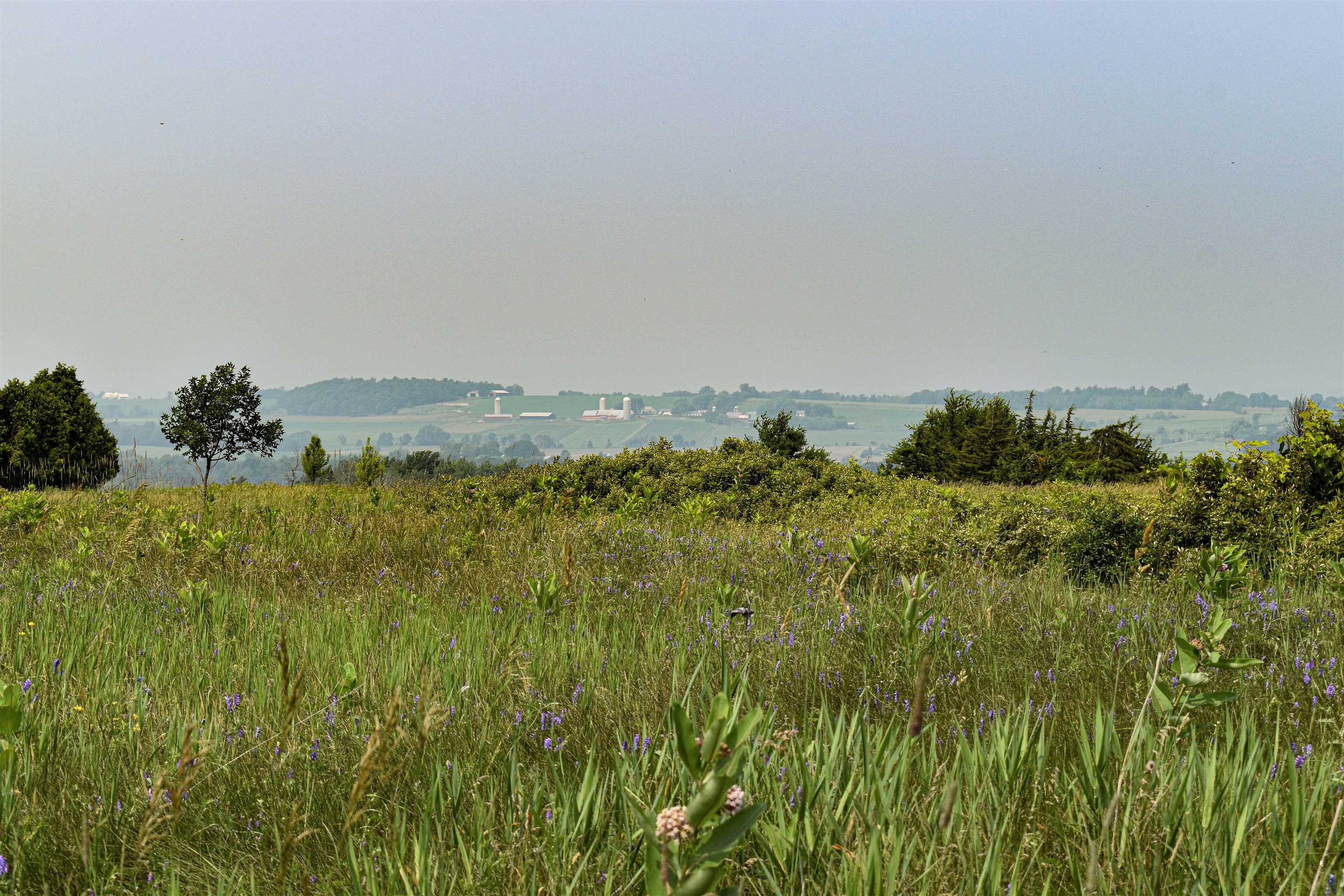 Tbd Maple Street Vergennes, VT 05491 - Photo 10 of 13