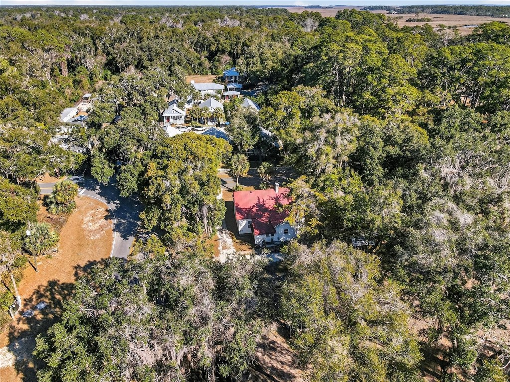 1401 Wayne Street Darien, GA 31305 - Photo 54 of 66