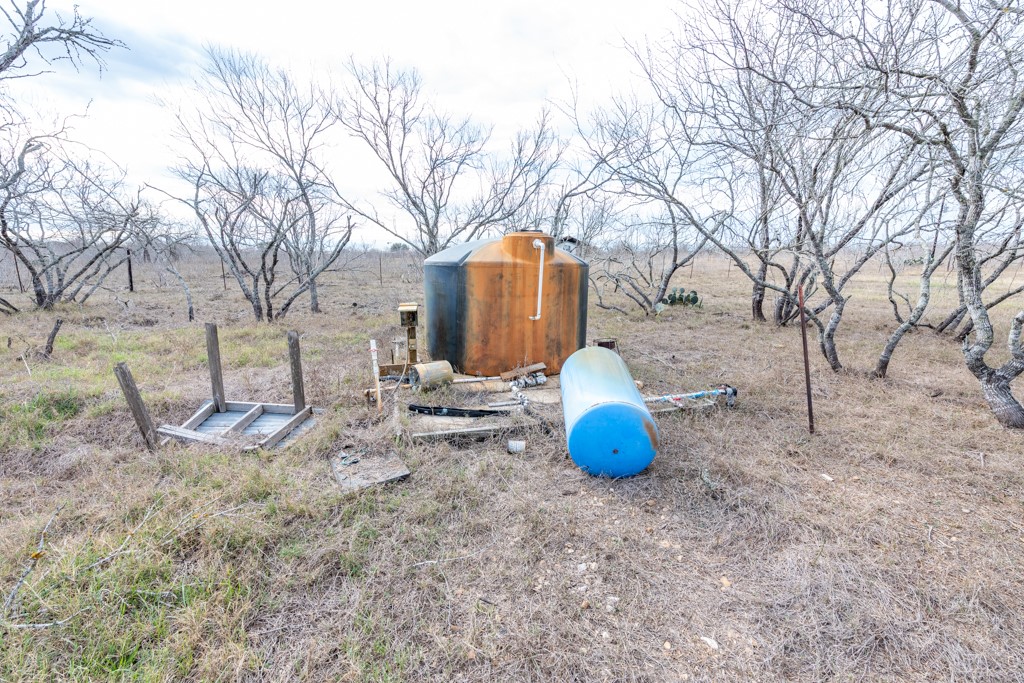 1140 Chalk Road Harwood, TX 78632 - Photo 14 of 14 a view of a yard with a trees
