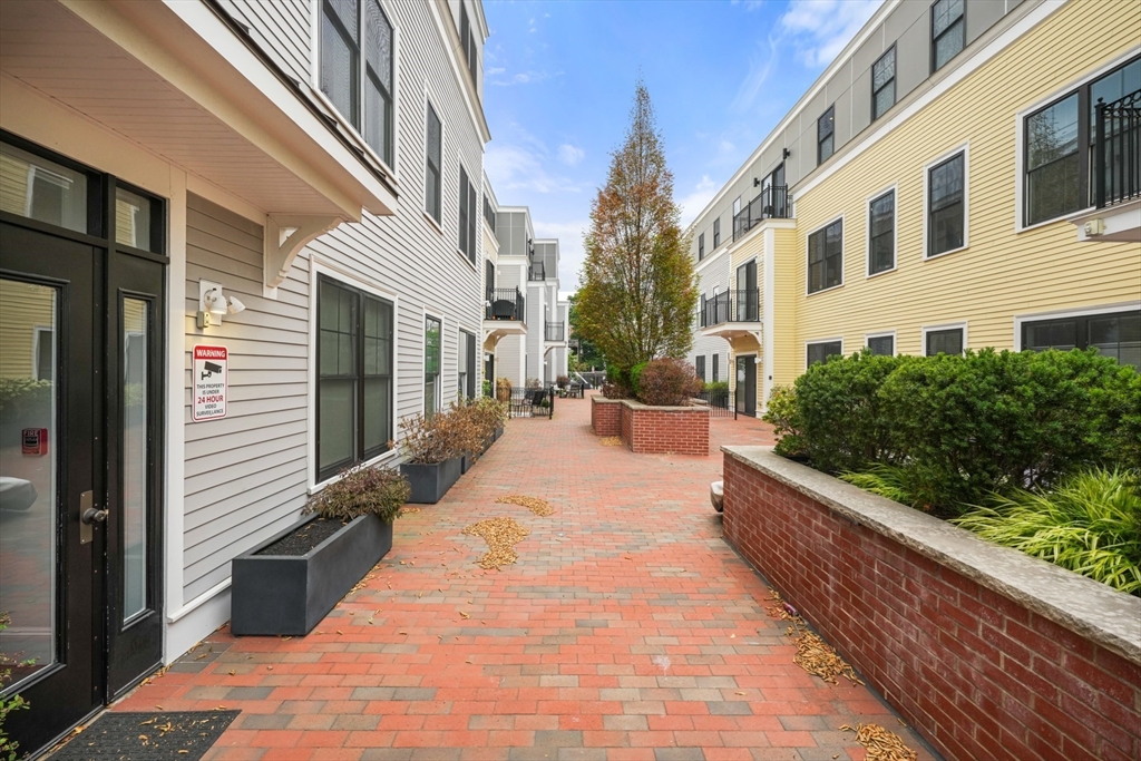 205 E Street, Unit 8N Boston, MA 02127 - Photo 25 of 29 a view of a patio with couches and potted plants