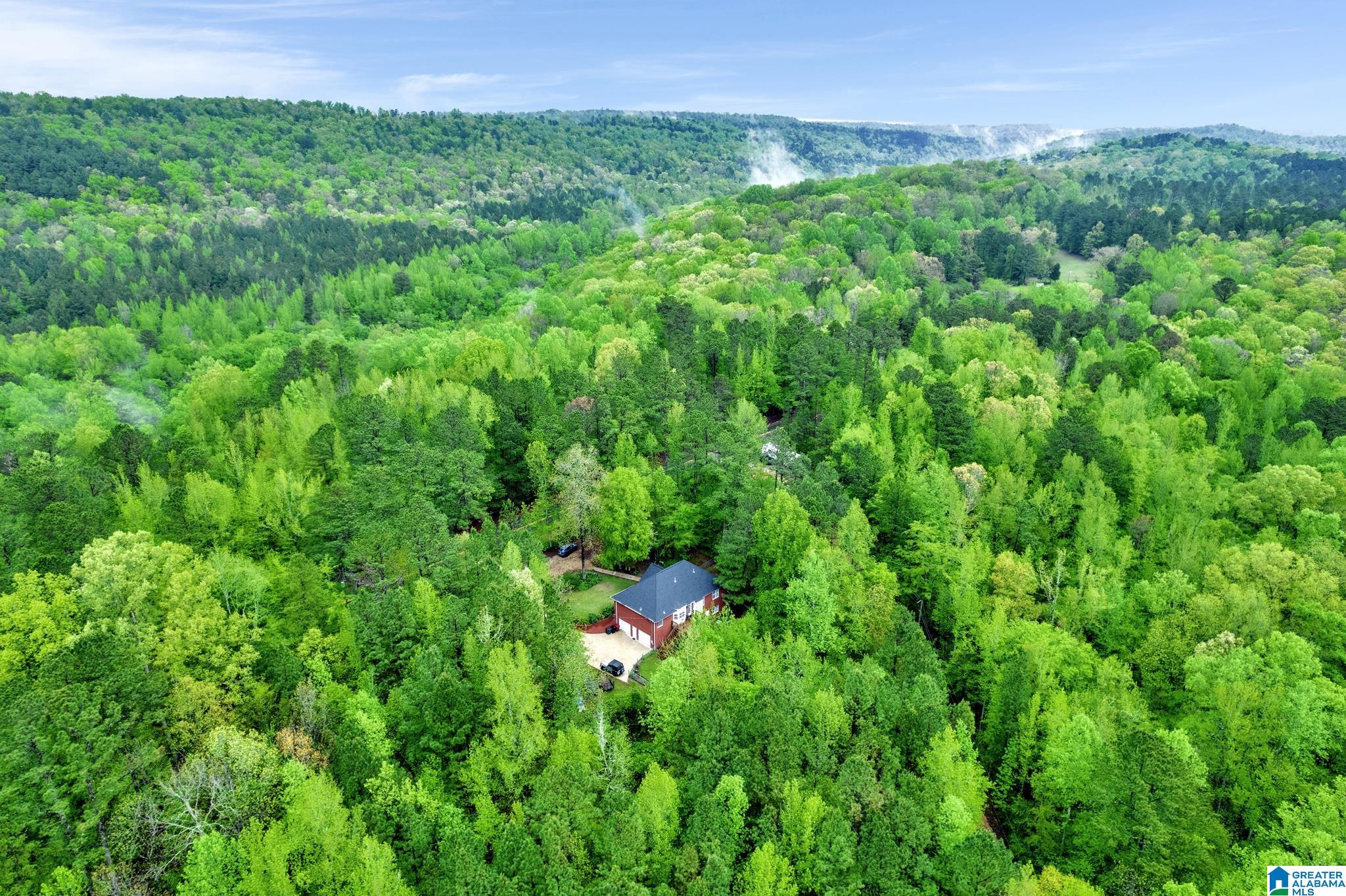 7207 Deer Haven Road Springville, AL 35146 - Photo 39 of 44