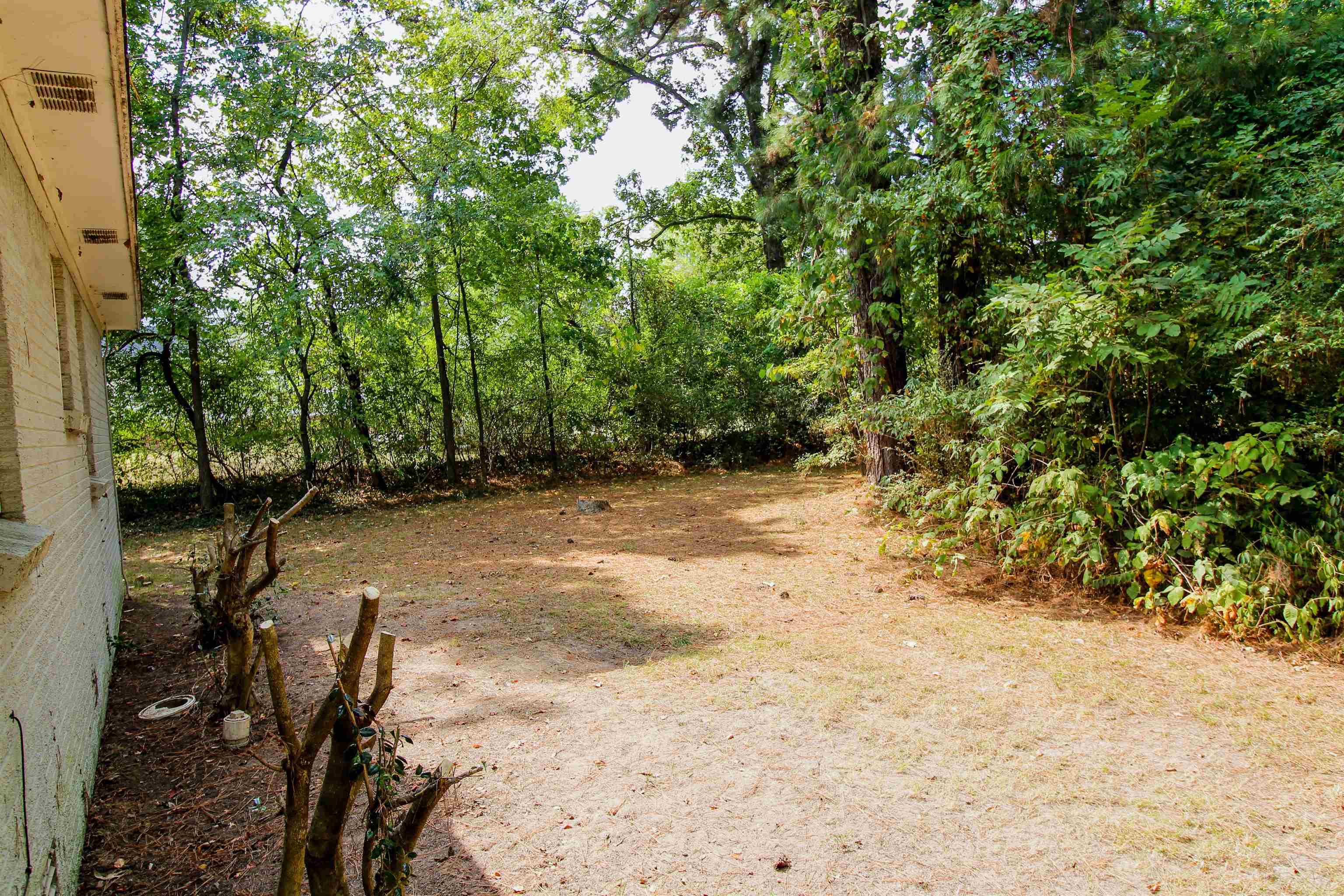 2089 Ralph Road Covington, TN 38019 - Photo 27 of 28 View of yard