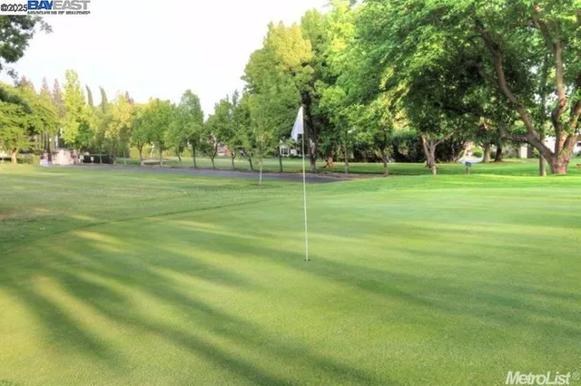 a view of a swimming pool with a lounge chairs